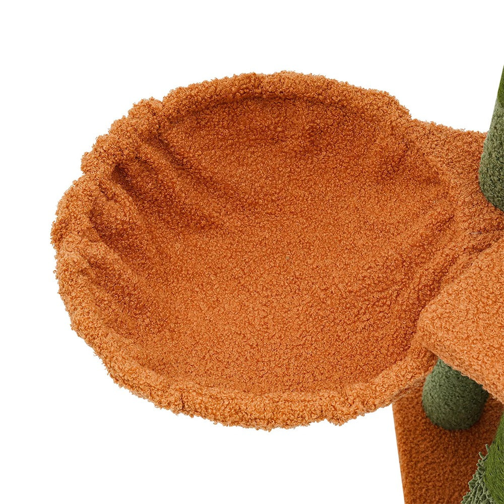 Macska mászóka, kaktusz